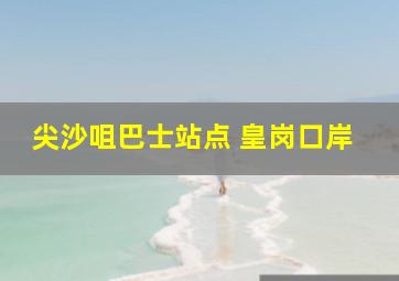 尖沙咀巴士站点 皇岗口岸